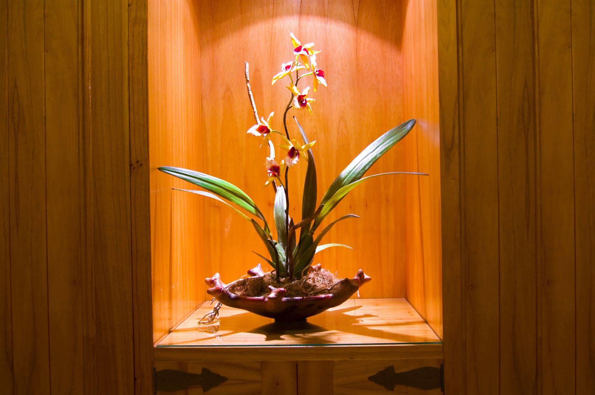 Hotel Las Margaritas Asuncion Bagian luar foto